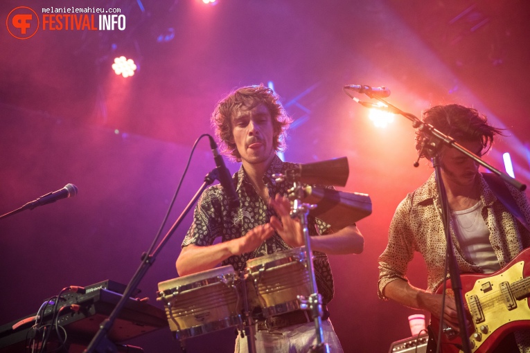 The Mauskovic Dance Band op Paléo Festival 2019 foto