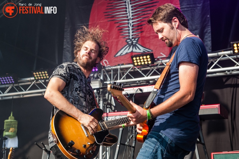 Tim Akkerman & The Ivy League op Schollenpop 2019 foto