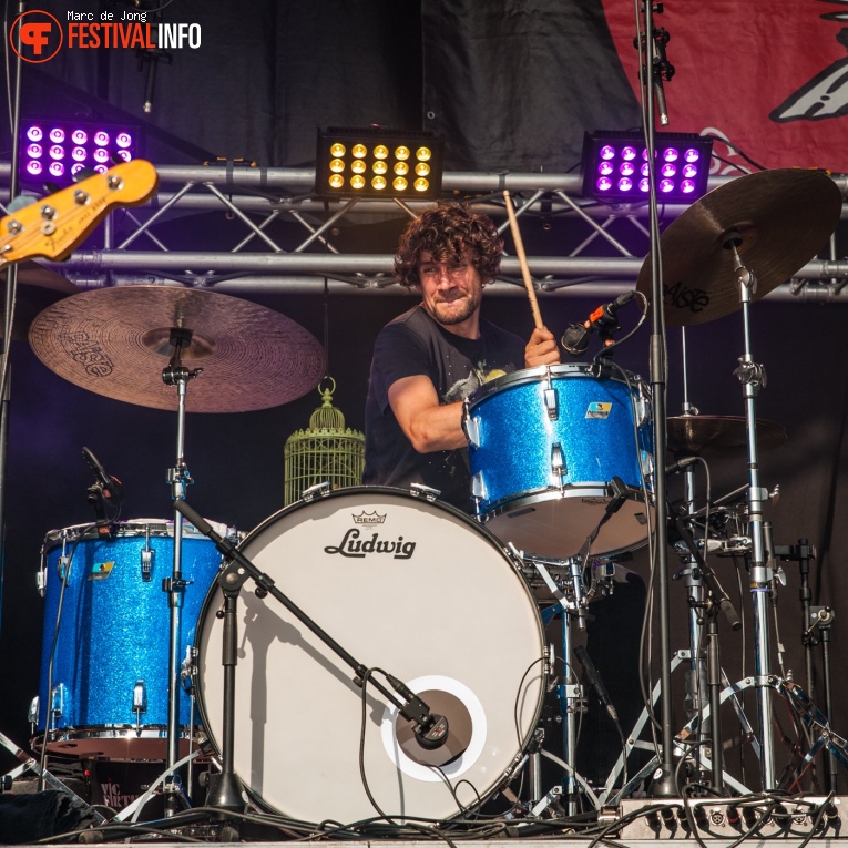 Tim Akkerman & The Ivy League op Schollenpop 2019 foto