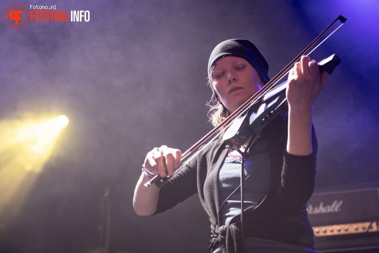 Sir Reg op Lowlands 2019 - Zondag foto