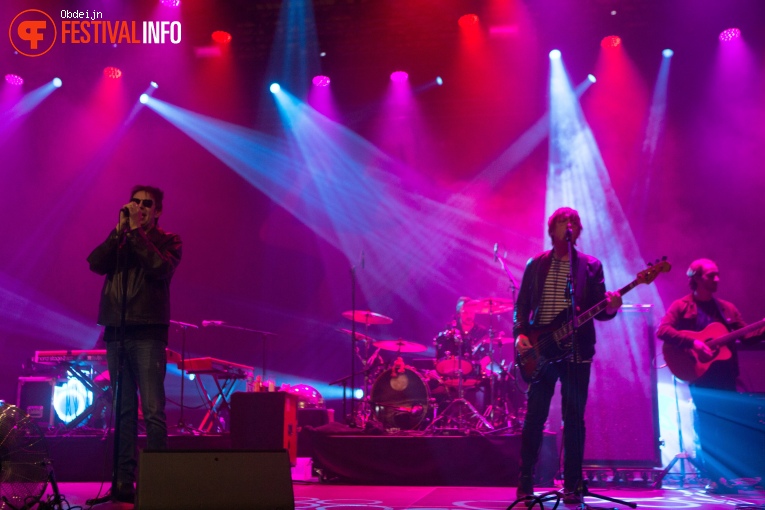 Echo & The Bunnymen op W-festival 2019 foto