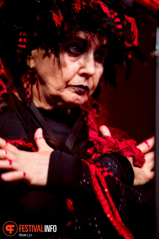 Lene Lovich Band 40 years op W-festival 2019 foto