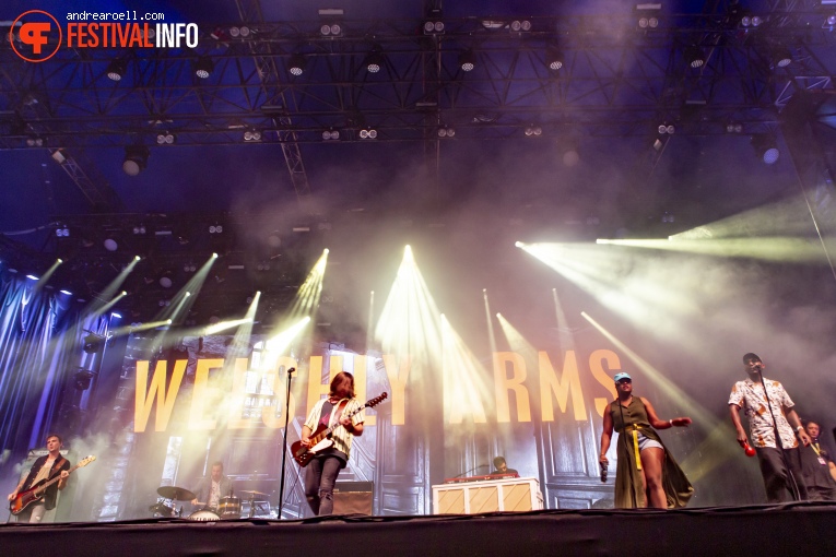 Welshly Arms op Sziget 2019 - donderdag foto