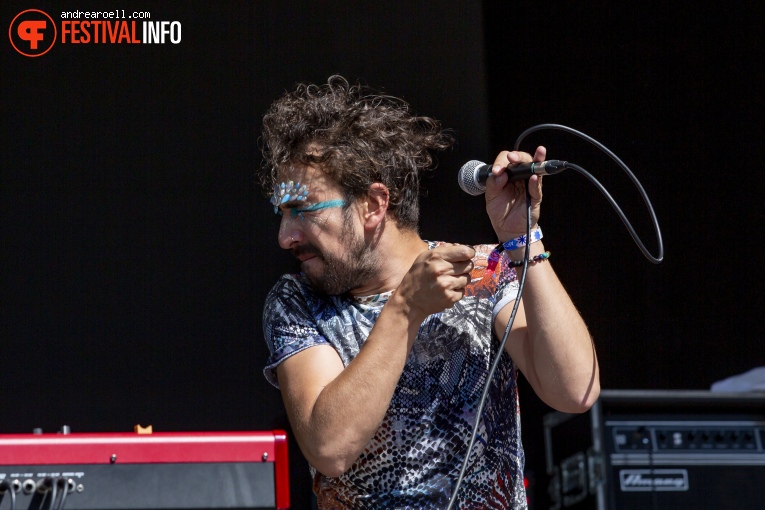 Danic Attack op Sziget 2019 - vrijdag foto