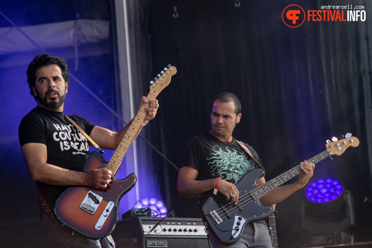 Van Dik Hout op Festival Strand 2019 foto