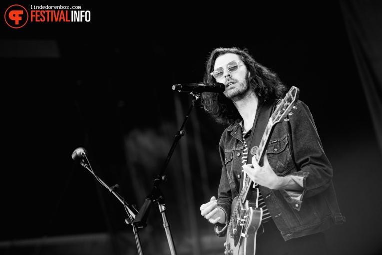 Hozier op Lollapalooza Berlin - 2019 - Zondag foto