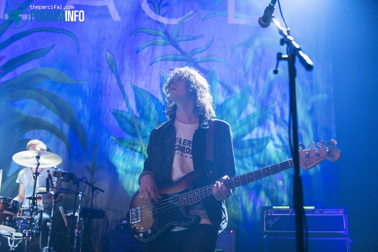 Palace op Palace - 29/10 - TivoliVredenburg foto