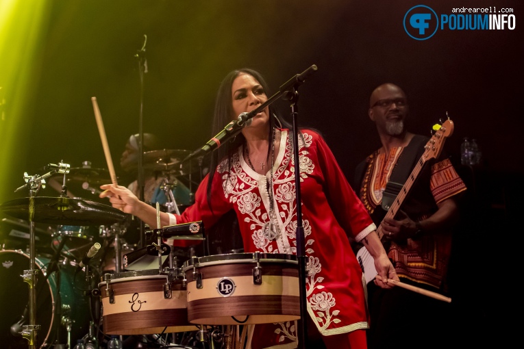 Sheila E. op Sheila E. - 06/11 - Q-Factory foto