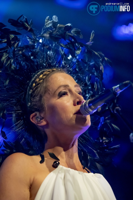 Foto Lamb op Lamb - 09/11 - Patronaat