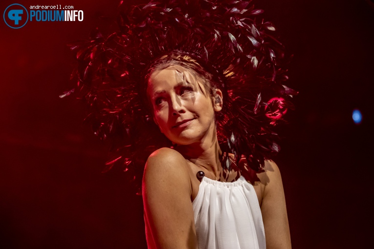 Foto Lamb op Lamb - 09/11 - Patronaat