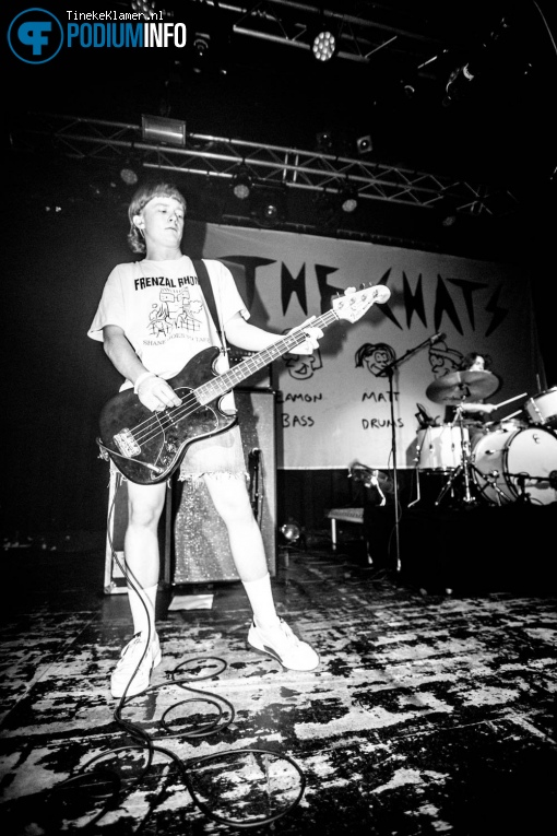 The Chats op The Chats - 15/11 - De Helling foto