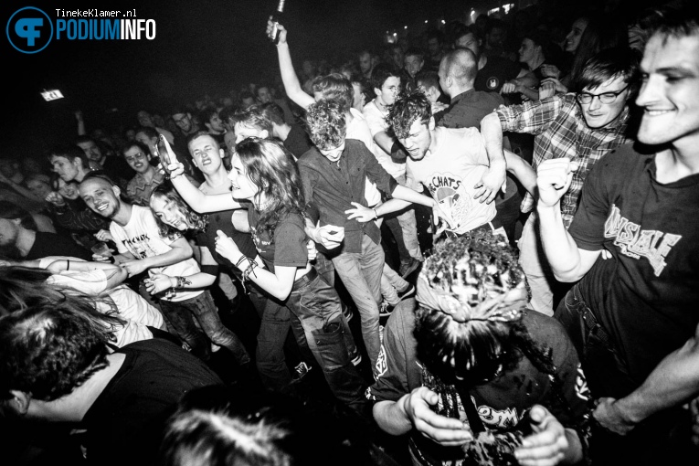 The Chats op The Chats - 15/11 - De Helling foto