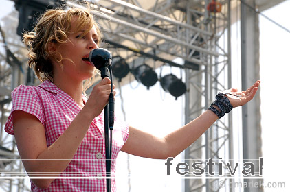 Room Eleven op Picnic in the Park 2008 foto