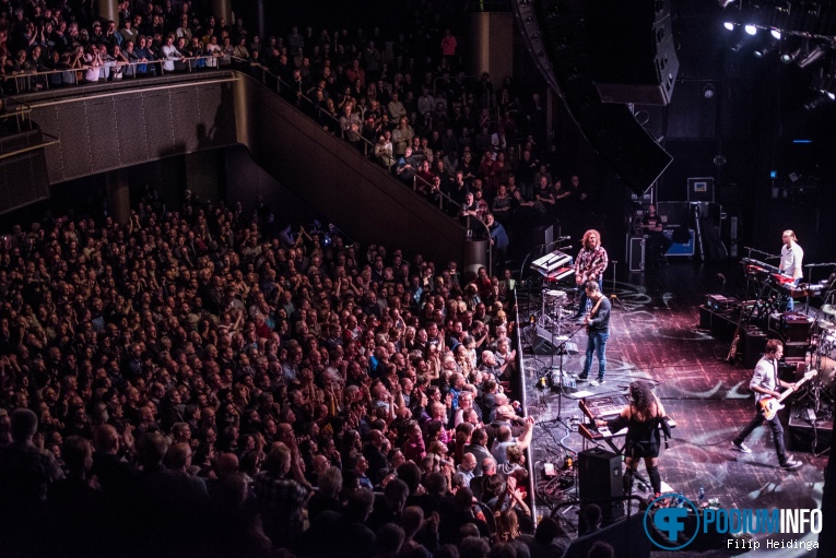 Dweezil Zappa op Dweezil Zappa - 01/12 - TivoliVredenburg foto