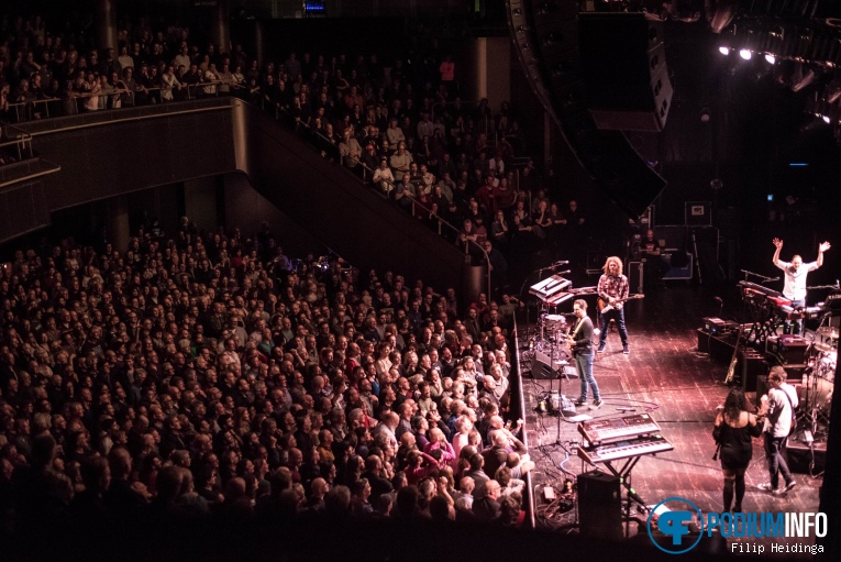 Dweezil Zappa op Dweezil Zappa - 01/12 - TivoliVredenburg foto