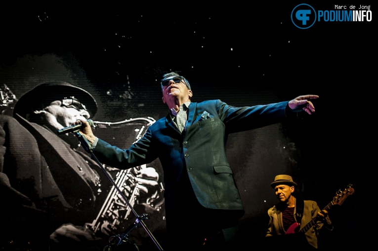 Madness op Madness - 12/12 - AFAS Live foto