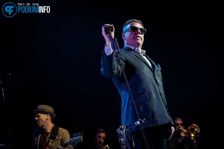 Madness op Madness - 12/12 - AFAS Live foto