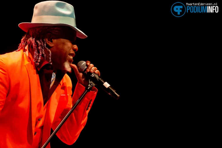 A Bowie Celebration - 17/01 - Paradiso foto