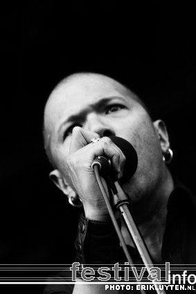 Danko Jones op Bospop 2008 foto