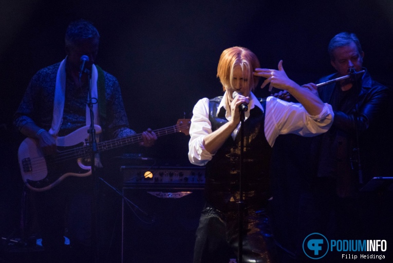 The Bowie Collective op The Bowie Collective - 26/02 - Metropool Enschede foto