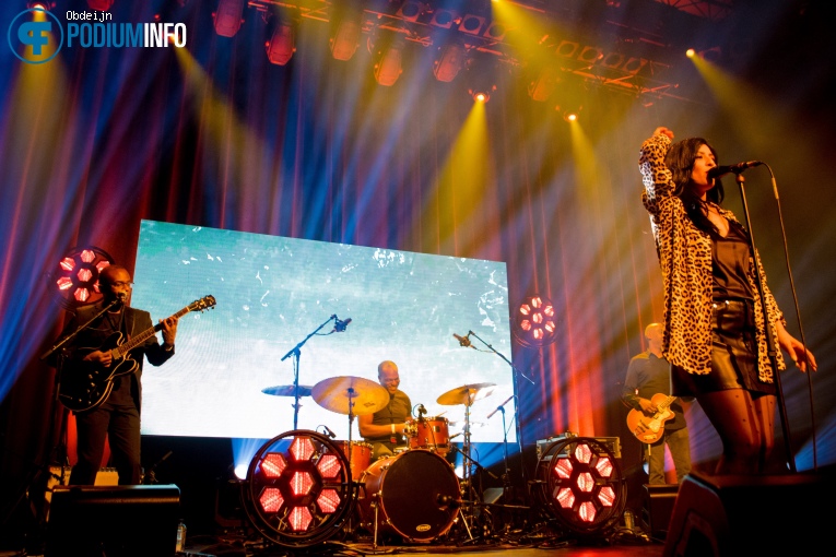 Forever Amy op Forever Amy - 05/03 - Hedon foto