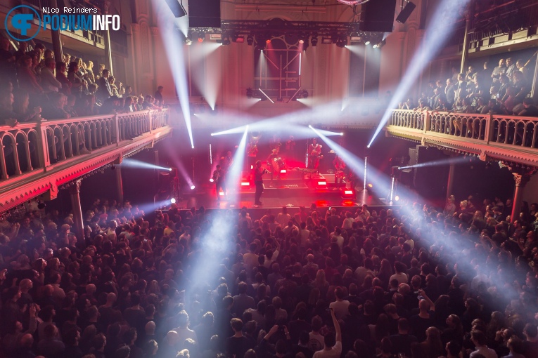 Meute op Meute - 05/03 - Paradiso foto