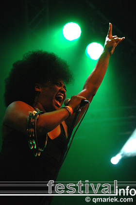 The BellRays op Zwarte Cross 2008 foto