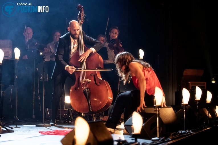 Amsterdam Sinfonietta op Wende & Amsterdam Sinfonietta - 16/07 - Koninklijk Theater Carré foto