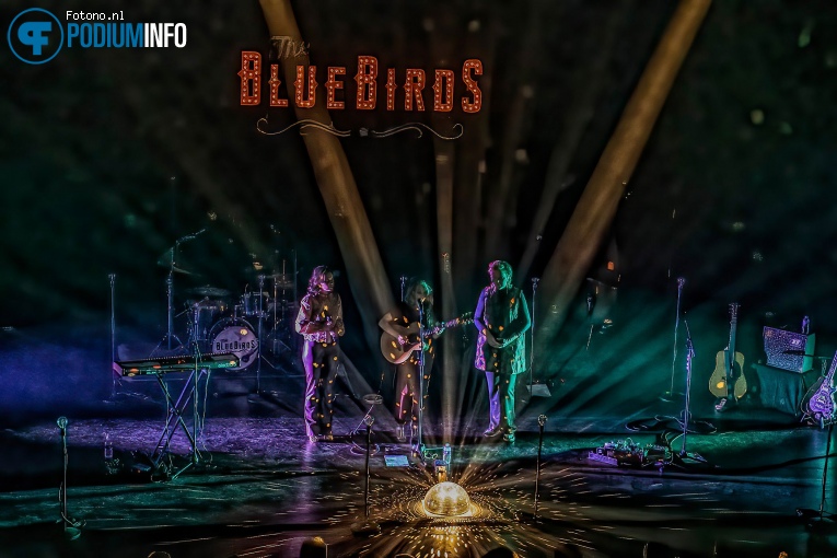 The Bluebirds op The BlueBirds - 30/09 - Energiehuis foto