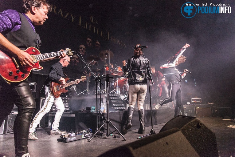 Crazy Little Things op Crazy Little Things - 02/10 - Boerderij foto