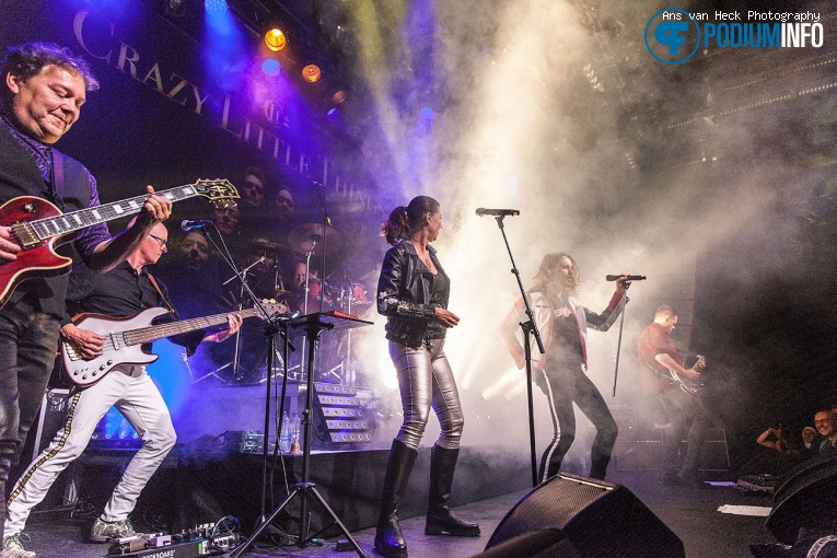 Crazy Little Things op Crazy Little Things - 02/10 - Boerderij foto