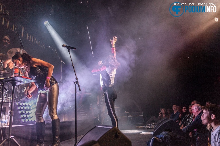 Crazy Little Things op Crazy Little Things - 02/10 - Boerderij foto