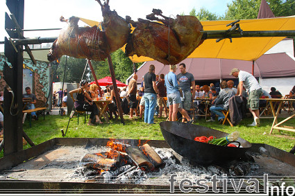 Lowlands 2008 foto