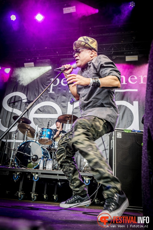 Rudeboy op Bevrijdingsfestival Utrecht 2022 foto