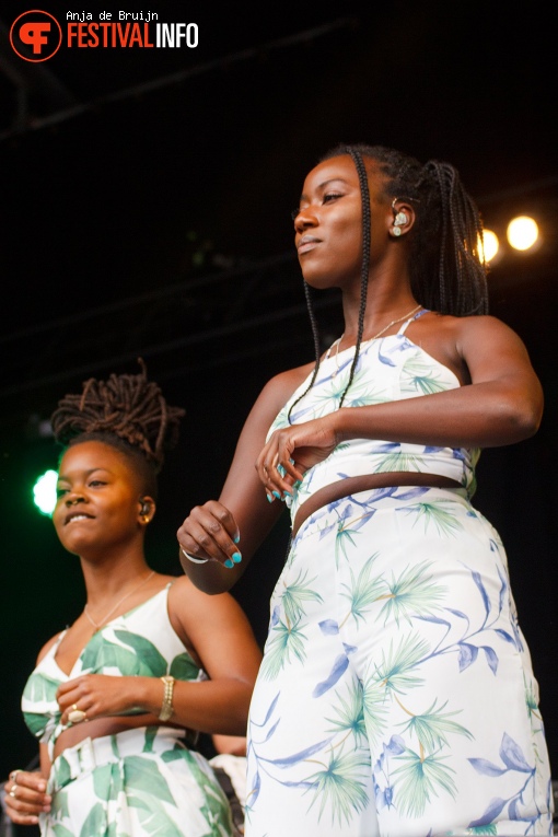 Maurino op Bevrijdingsfestival Zuid Holland 2022 foto