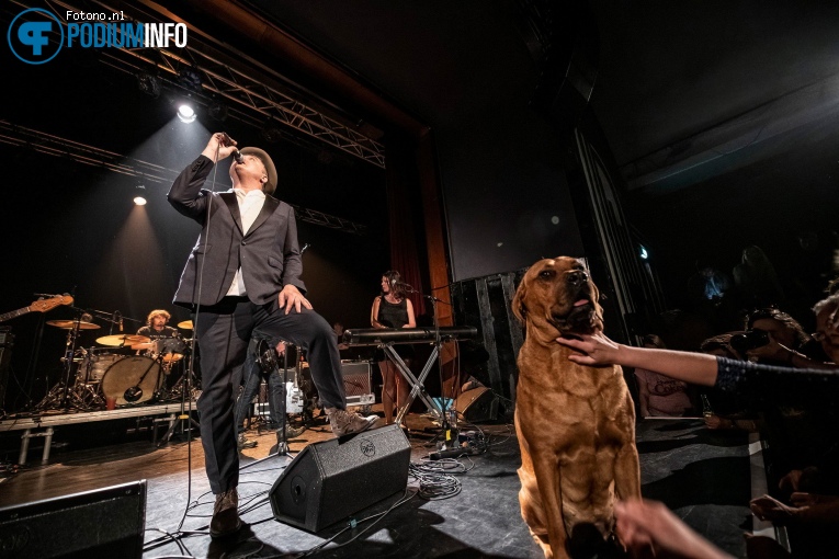 Peter Doherty op Peter Doherty - 09/05 - Het Zonnehuis foto