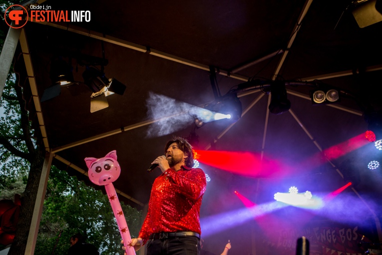 Antoon op Dauwpop 2022 foto