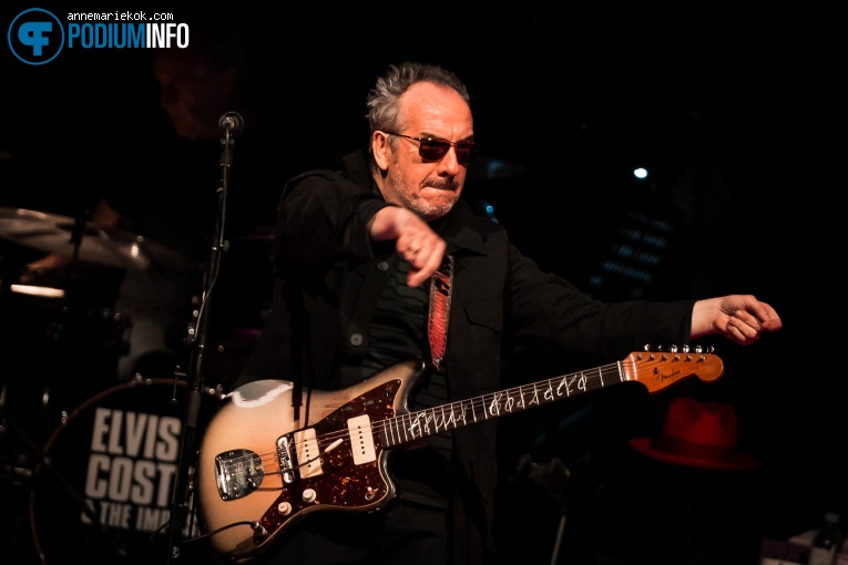 Elvis Costello & the Imposters op Elvis Costello -28/06 - Carré foto