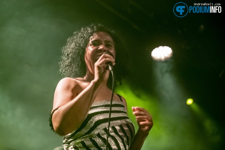 Zuco 103 op Zuco 103 - 08/07 - Tolhuistuin foto