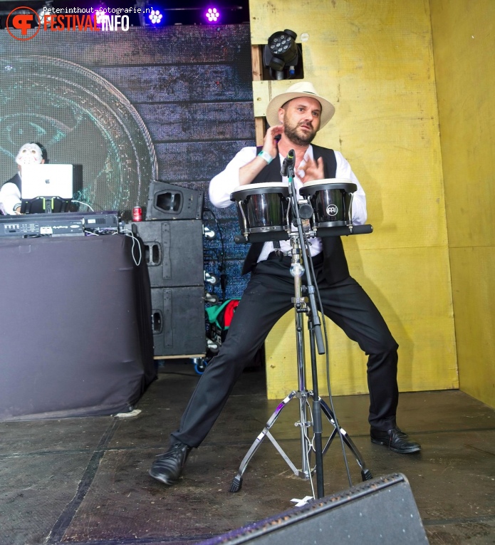 Tomorrowland 2022 (weekend 3) foto