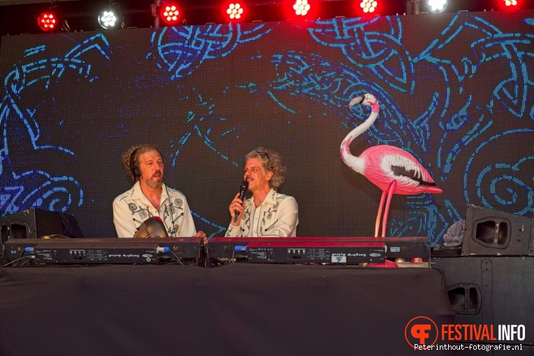 Tomorrowland 2022 (weekend 3) foto