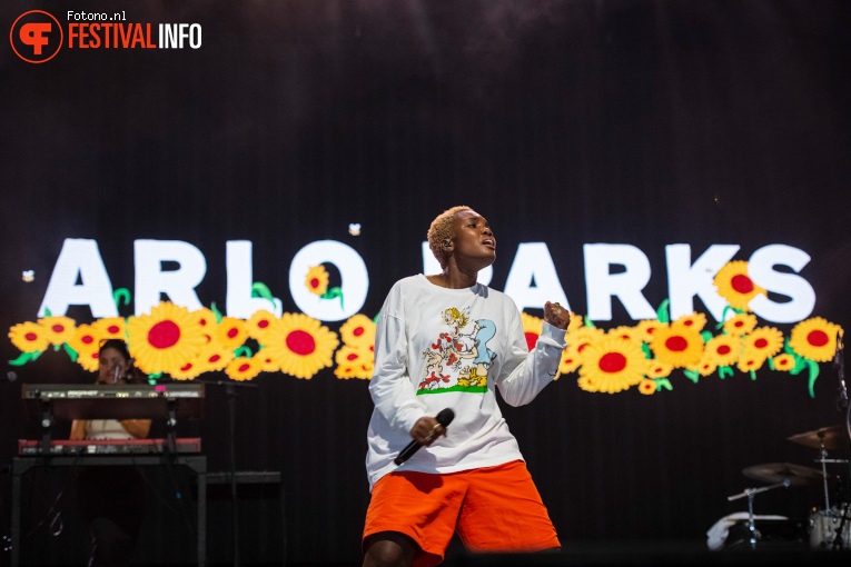 Arlo Parks op Lowlands 2022 - zondag foto