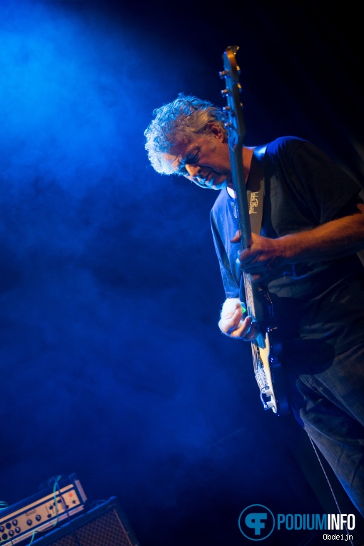 Hallo Venray op Hallo Venray - 18/09 - Paard foto