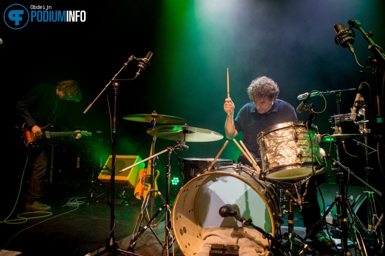 Hallo Venray op Hallo Venray - 18/09 - Paard foto