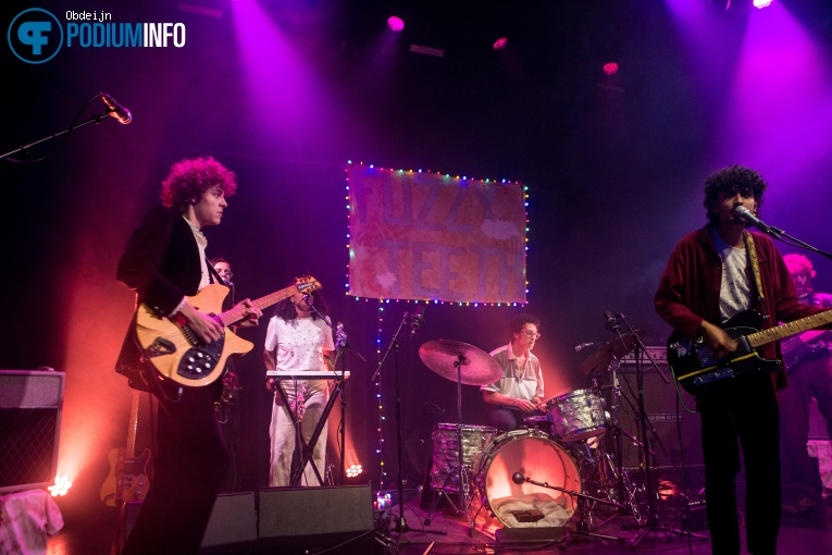 Hallo Venray - 18/09 - Paard foto