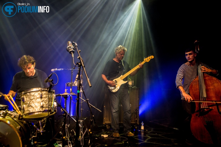 Hallo Venray op Hallo Venray - 18/09 - Paard foto