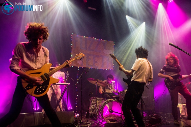 Hallo Venray - 18/09 - Paard foto