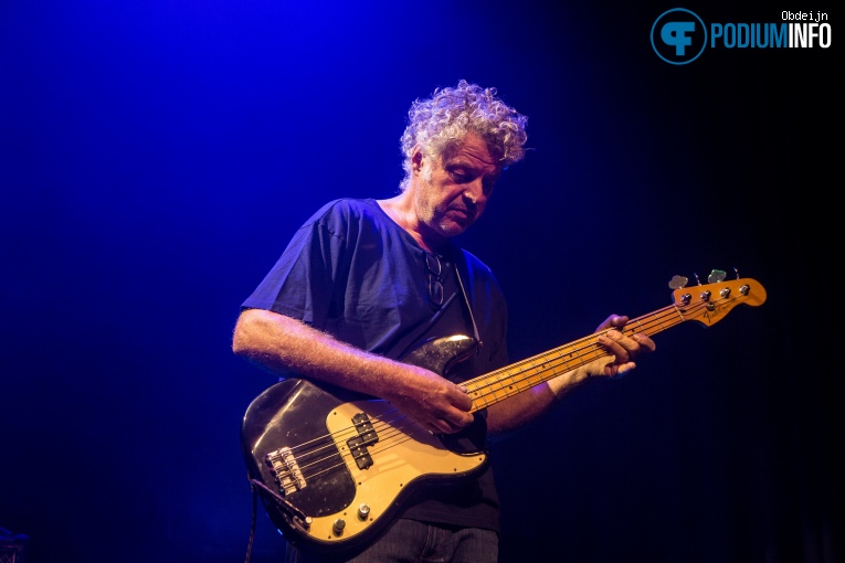 Hallo Venray op Hallo Venray - 18/09 - Paard foto