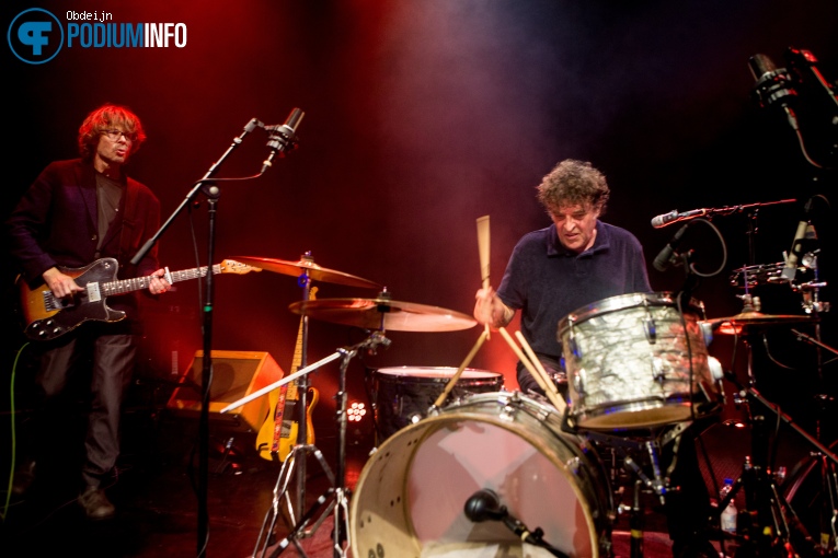 Hallo Venray op Hallo Venray - 18/09 - Paard foto