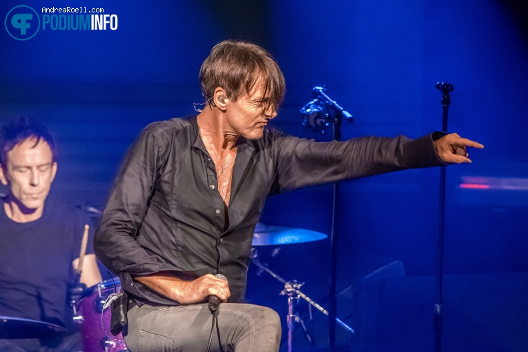 Suede op Suede - 08/10 - Melkweg foto